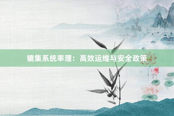 辘集系统率理：高效运维与安全政策