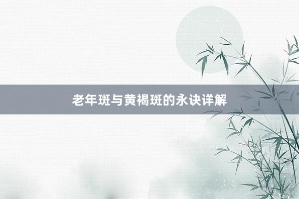 老年斑与黄褐斑的永诀详解