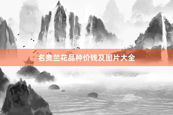 名贵兰花品种价钱及图片大全