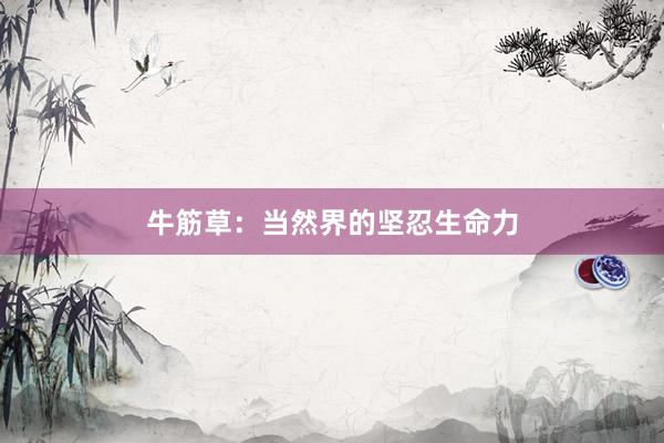 牛筋草：当然界的坚忍生命力