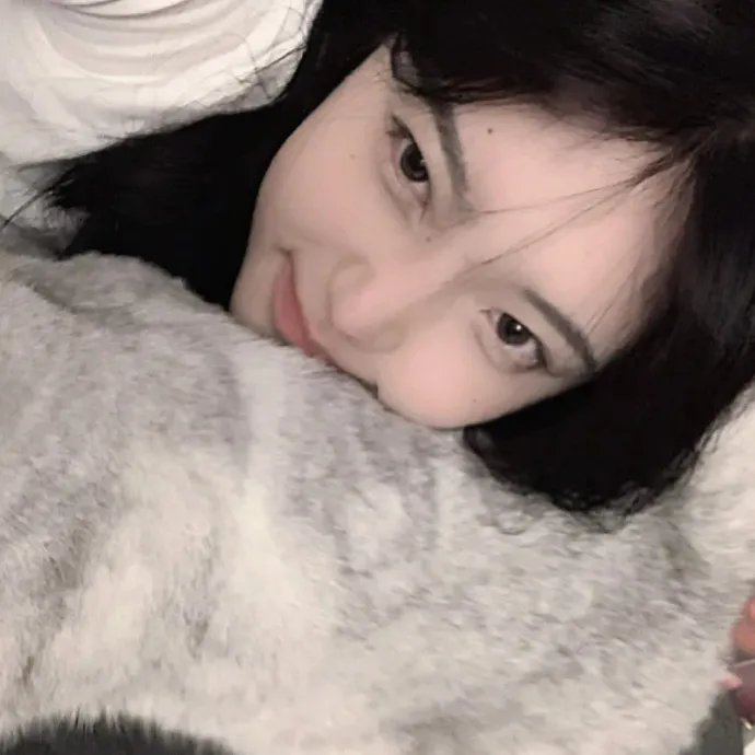 圣杯骑士