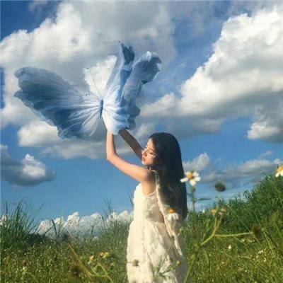 星星守护犬